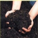 Bio Compost