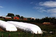 Supply Greenhouse Film, Mulch Film