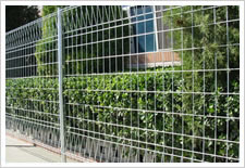 wire mesh fences