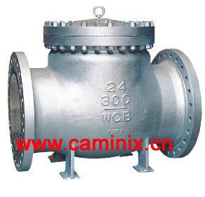 Check Valve