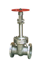 Cryogenic Valves