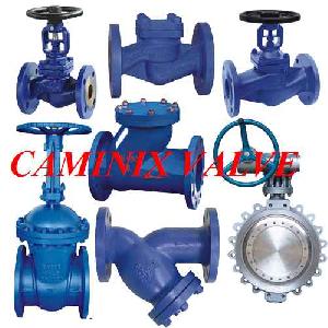 Supply Din Gate Valve , Globe Valve, Check Valve , Strainer From Caminix Valve