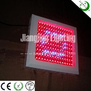 Professional 150w Led Plant Grow Light