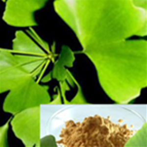 Chlorogenic Acid-natural Plant Extract Powder