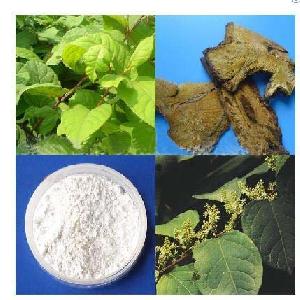 resveratrol herbal extract powder medcine