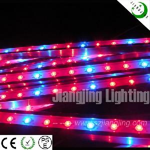 Led Grow Bar Light Special For Greenhouse Growing