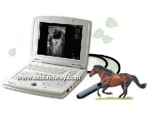 digital laptop ultrasound scanner veterinary