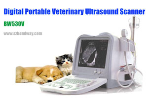 Pet Portable Ultrasopund Scanner-bw530v