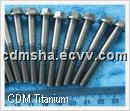 Titanium Screw