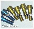 Titanium Screw / Nut / Thread Rod