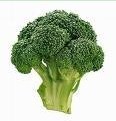 Broccoli Extact