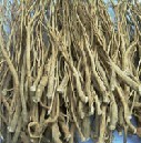 bupleurum p e