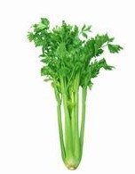 Celery Extract