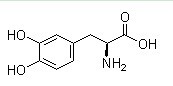 levodopa extract