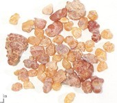 olibanum extract