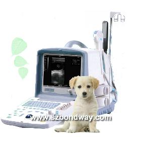 Digital Portable Vet Ultrasound Scanner Bw8t-vet