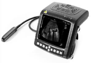 Digital Wrist-top Veterinary Ultrasound Scanner Bw560v