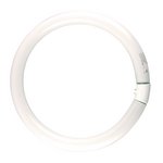 Circular Fluorescent T5 22 Watt 225mm Dia Warm White