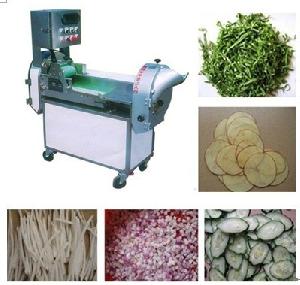 Multifunction Inverter Controlled Vegetable Cutter Gg-109