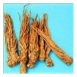 Angelica / Dong Quai Extract