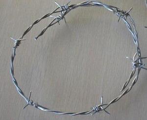 Stainless Steel Barbed Wire, Ss Wires