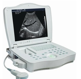 Name Full Digital Laptop Ultrasound Scanner Item No Rsd-rp6a Plus Human