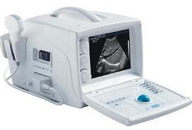 Rsd-rp6d For Veterinary Portable Ultrasound Scanner From Ronseda Electronics