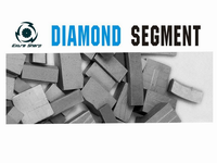 Diamond Segment