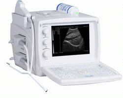 Ultrasound Scanner Rsd-rp6e