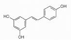 Natural Resveratrol Polydatin From Polygonum Cuspidatum Giant Knotweed