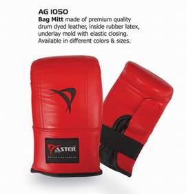 aster bag mitt