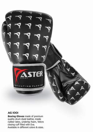 Aster Boxing Gloves