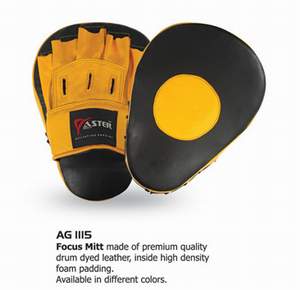 Aster Focus Mitt