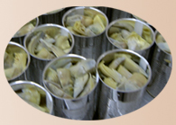 Sell Canned Artichoke