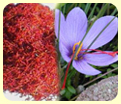 Sell Saffron Mongra, Gucchi, Lacha