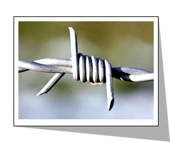 Barbed Wire