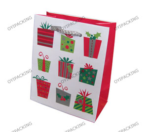 Several Kind Gift For Christmas Shopping Paper Bag