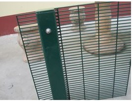 Anti-climb Fence, Serucity Fencing