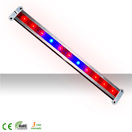 11w Led Grow Light-2