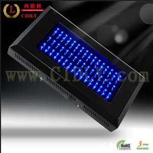 Led Reef Light 120w