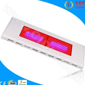 Powerful Led Garden Light 600w