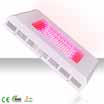led garden light 300w