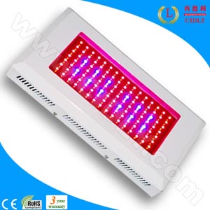 Wonderful Led Garden Light 120w