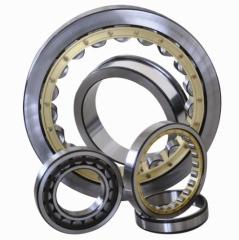 N204 Single Row Cylindrical Roller Bearings