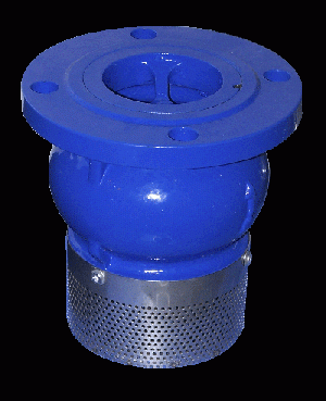 foot valve ifv 000