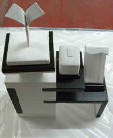 Ring Display Props