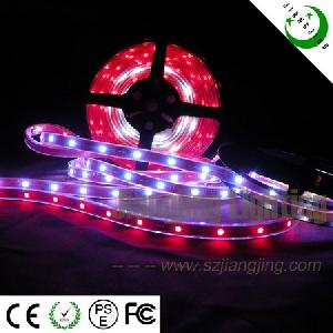 3528 / 5050 Led Led Strip / Christmas Light