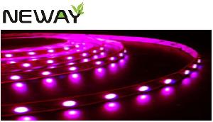 Rgb Led Flex Strips