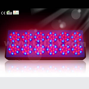 No12 Apollo Led Grow Light