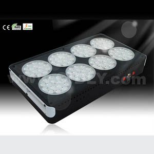 no8 apollo led grow light